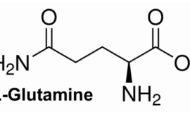 La glutamine protectrice intestinale