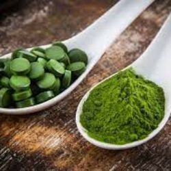 LES VERTUS SANTE DE LA MICROALGUE CHLORELLA