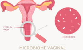 Des probiotiques pour une bonne santé vaginale